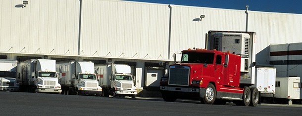 Sector Distribución